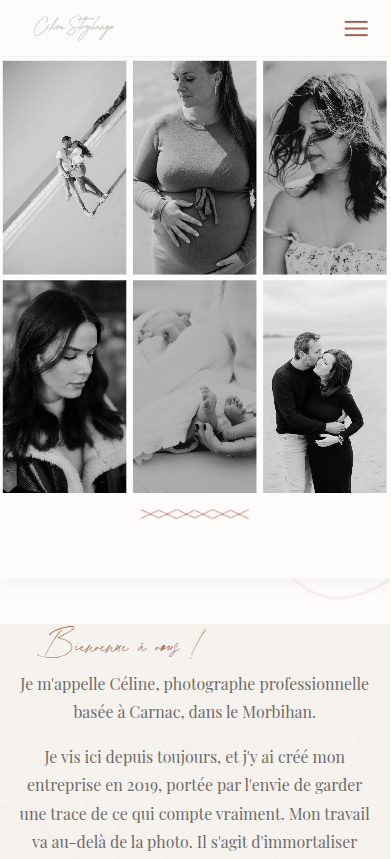 Page d'accueil sur mobile